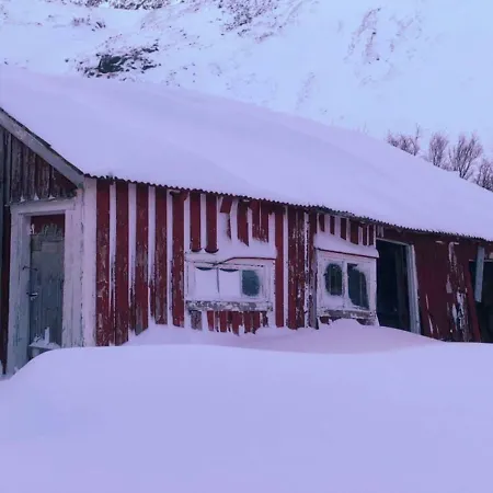 Seafront House In Fjord In The Middle Of Lofoten *